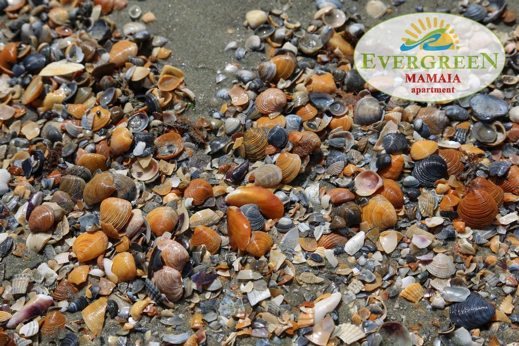 Evergreen Vlas Mamaia Sud المظهر الخارجي الصورة