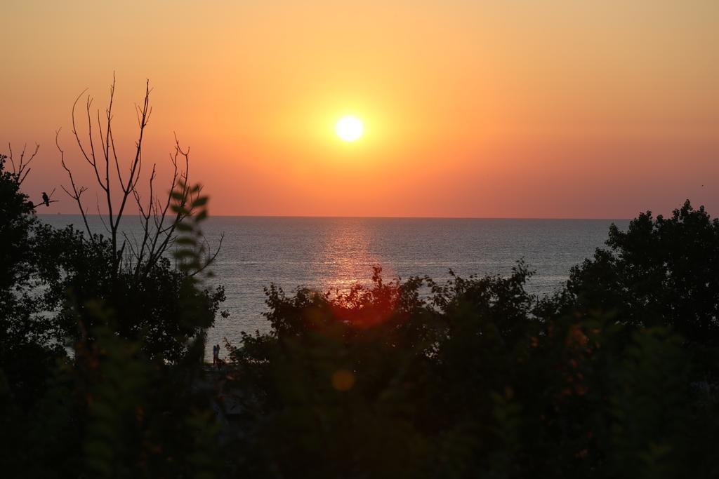 Evergreen Vlas Mamaia Sud المظهر الخارجي الصورة